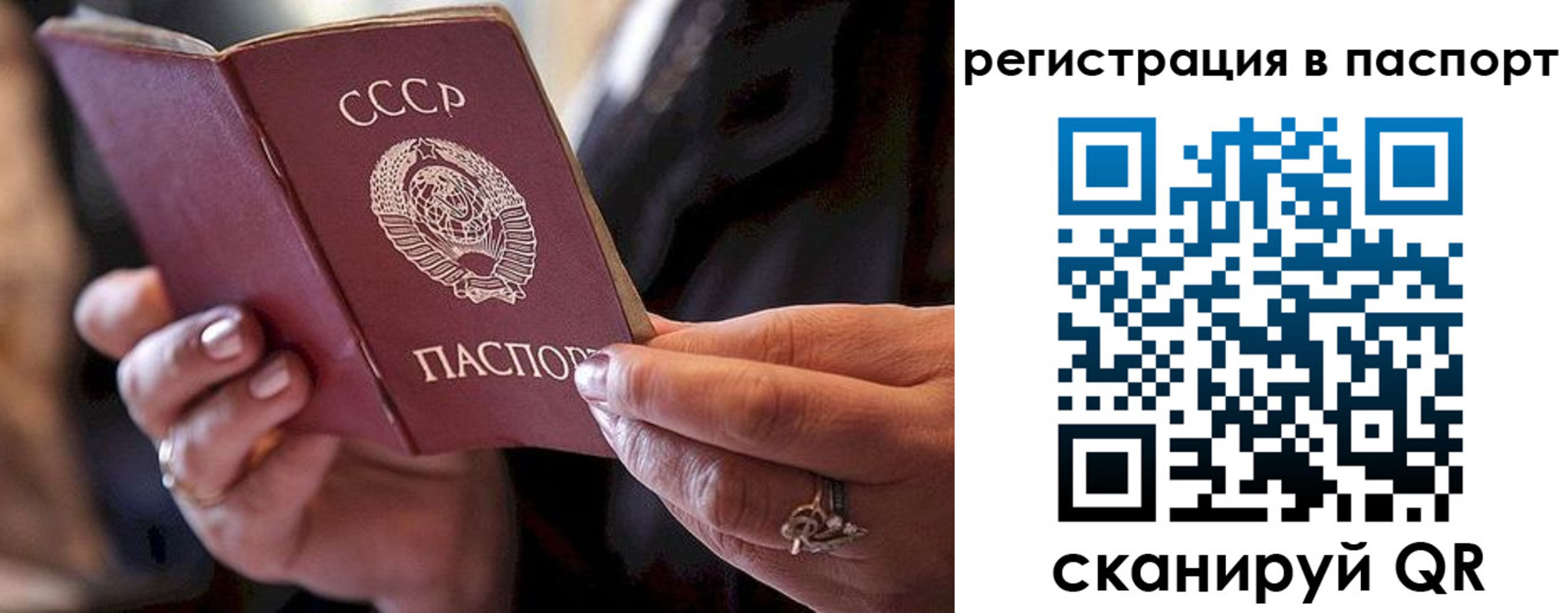 временная регистрация для всех в Краснознаменске